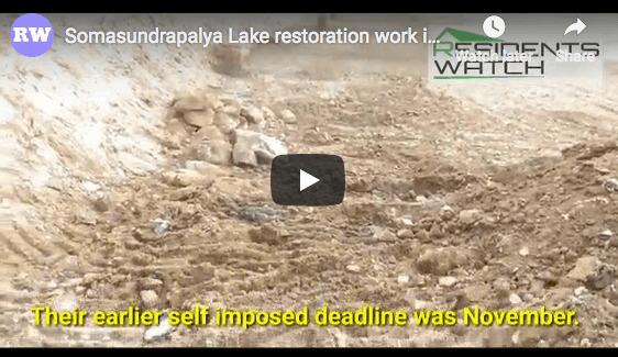 Somasundrapalya Lake revival in HSR Layout is nearing completion 30