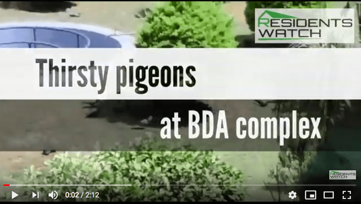 State of birds at BDA Complex 27