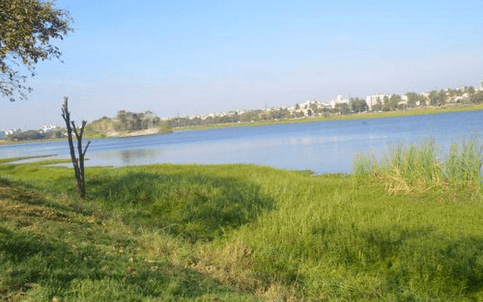 Sex, drugs and crime at Agara Lake! 5
