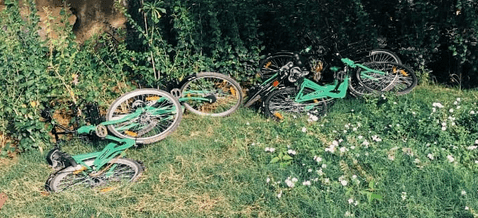 Cycling has begun inside Agara Lake premises 1