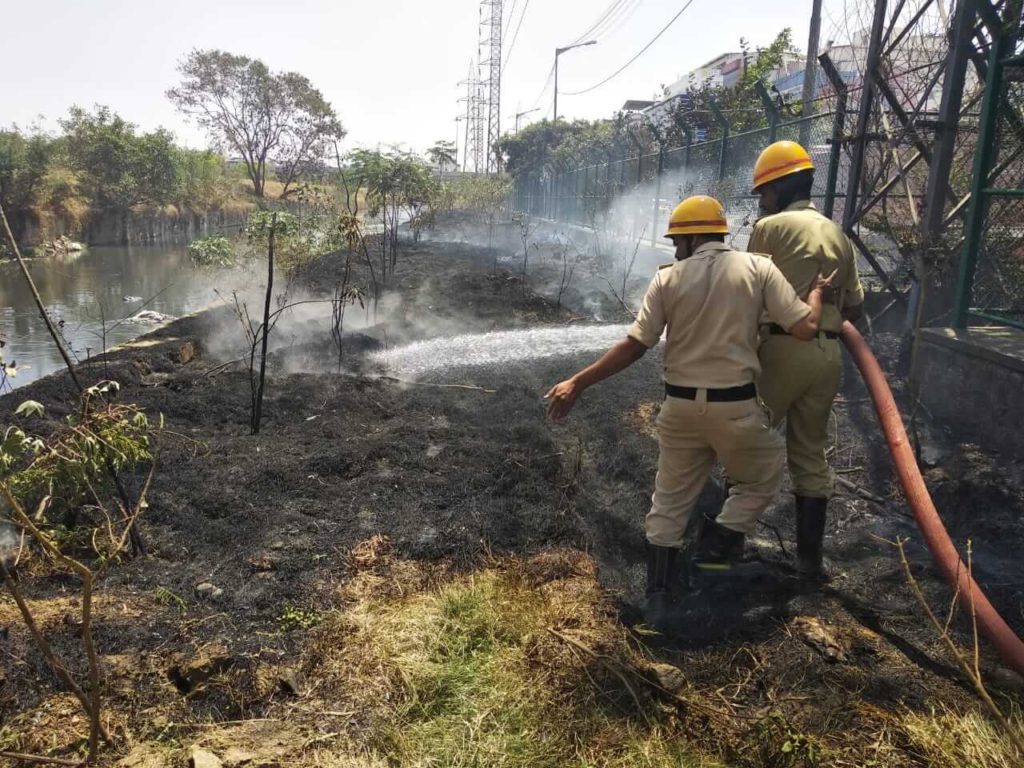 Trees on fire near Agara Lake 22