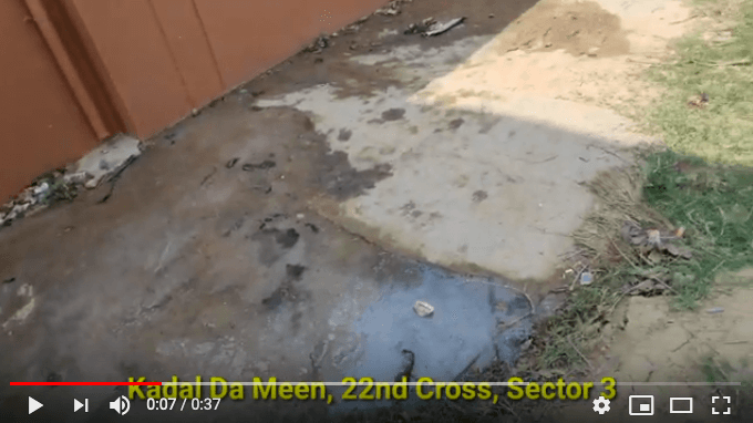 kadal da meen hsr layout
